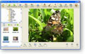 Photo! Editor