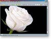 XnView
